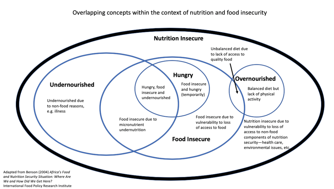 Overlapping Concepts Nutrition Food Security