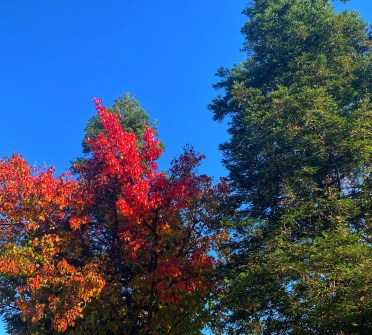 e040d1e9-2126-45e5-870b-6f6186481398